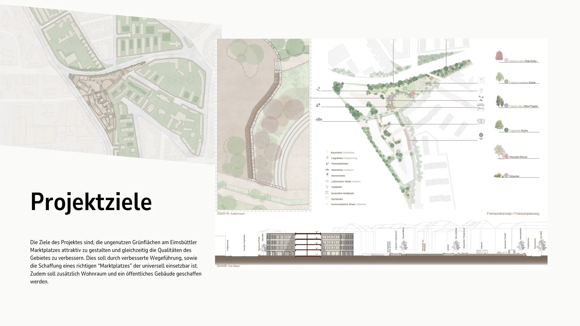 Projektziele – Lageplan, Entwurfsplan und Gebäudeschnitt